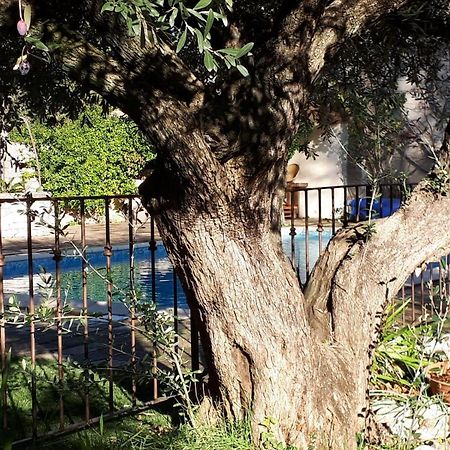 Appartement La Cartagène à Calvisson Extérieur photo