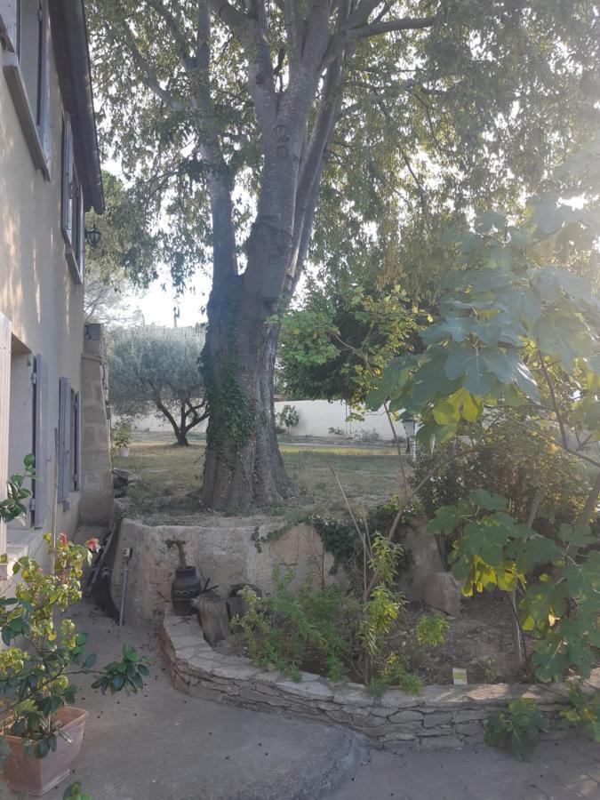 Appartement La Cartagène à Calvisson Extérieur photo