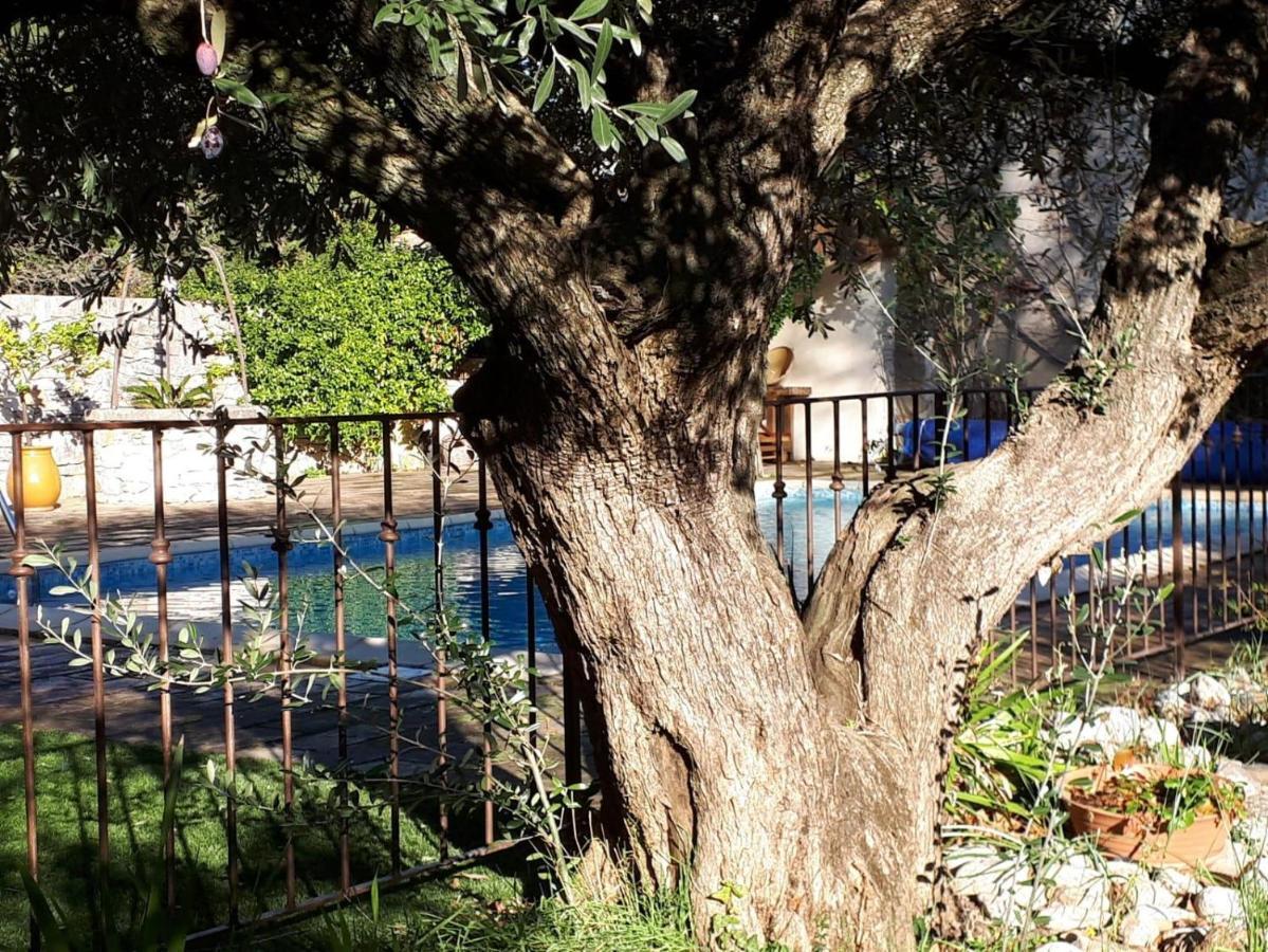 Appartement La Cartagène à Calvisson Extérieur photo